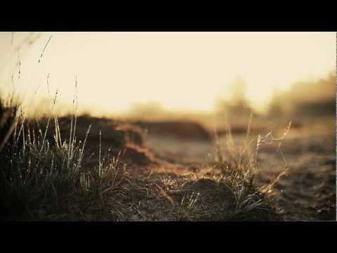 Morgan Page feat. Nadia Ali - Carry Me (Nilson & The 8th Note Remix)