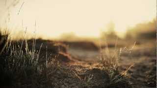 Morgan Page feat. Nadia Ali - Carry Me (Nilson & The 8th Note Remix)