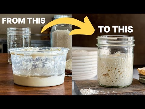 How To Revive Your Sourdough Starter After Months Of Neglect