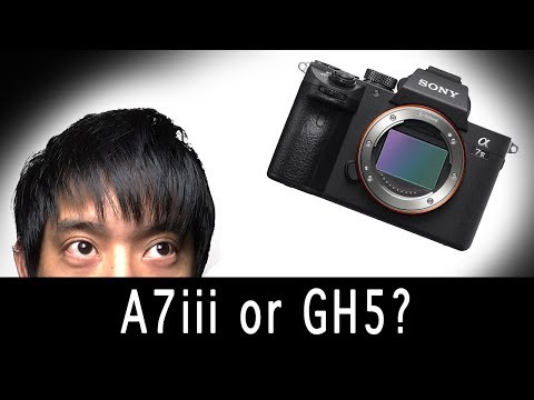 [Thoughts and Discuss] - A7iii vs GH5