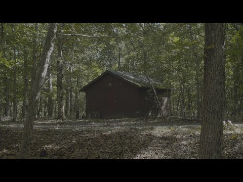 Vane Brain - The Creche (The Foundation OST)