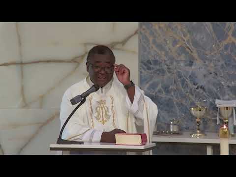 Memoria de San Gregorio Magno, Papa y Doctor de la Iglesia | 9/3/2026