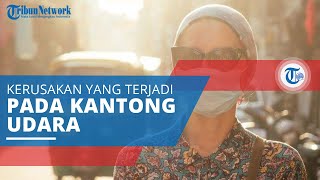 Emfisema, Penyakit Pernapasan yang Menyerang Paru-paru akibat Kerusakan Kantong Udara