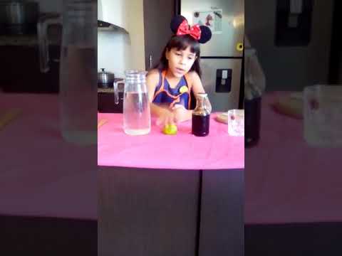 Exposición Preparación Jugo de Papelón con Limón