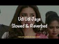 Udi Udi Jaye (Slowed & Reverbed) | Raees | Shah Rukh Khan, Mahira Khan | V-Music