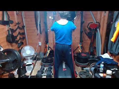 vol278#backandtriceps #injuredshoulder