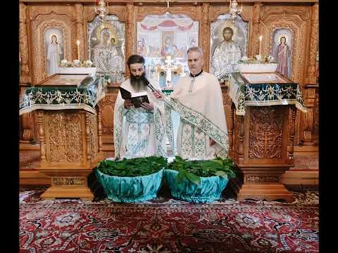 20220612 NICOLAE BALASOIU - DUMINICA A 8 A DUPA PASTI – POGORAREA SFANTULUI DUH-RUSALIILE