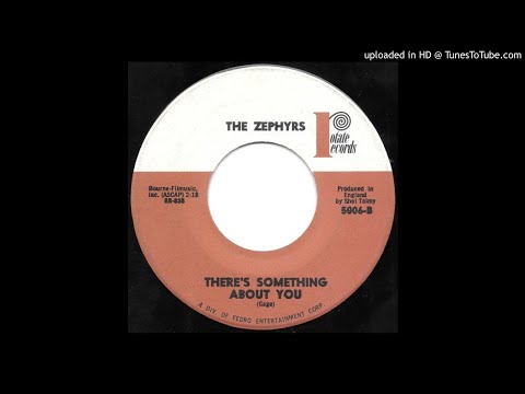 The Zephyrs - There's Something About You