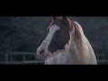 La Maravillosa Orquesta del Alcohol (La M.O.D.A.) - Ojalá (Cal Pau, 2016)