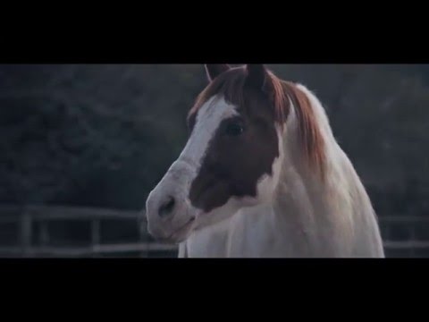 Ojalá video