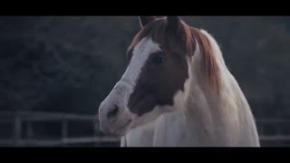 La Maravillosa Orquesta del Alcohol (La M.O.D.A) - Ojalá (Cal Pau, 2016)