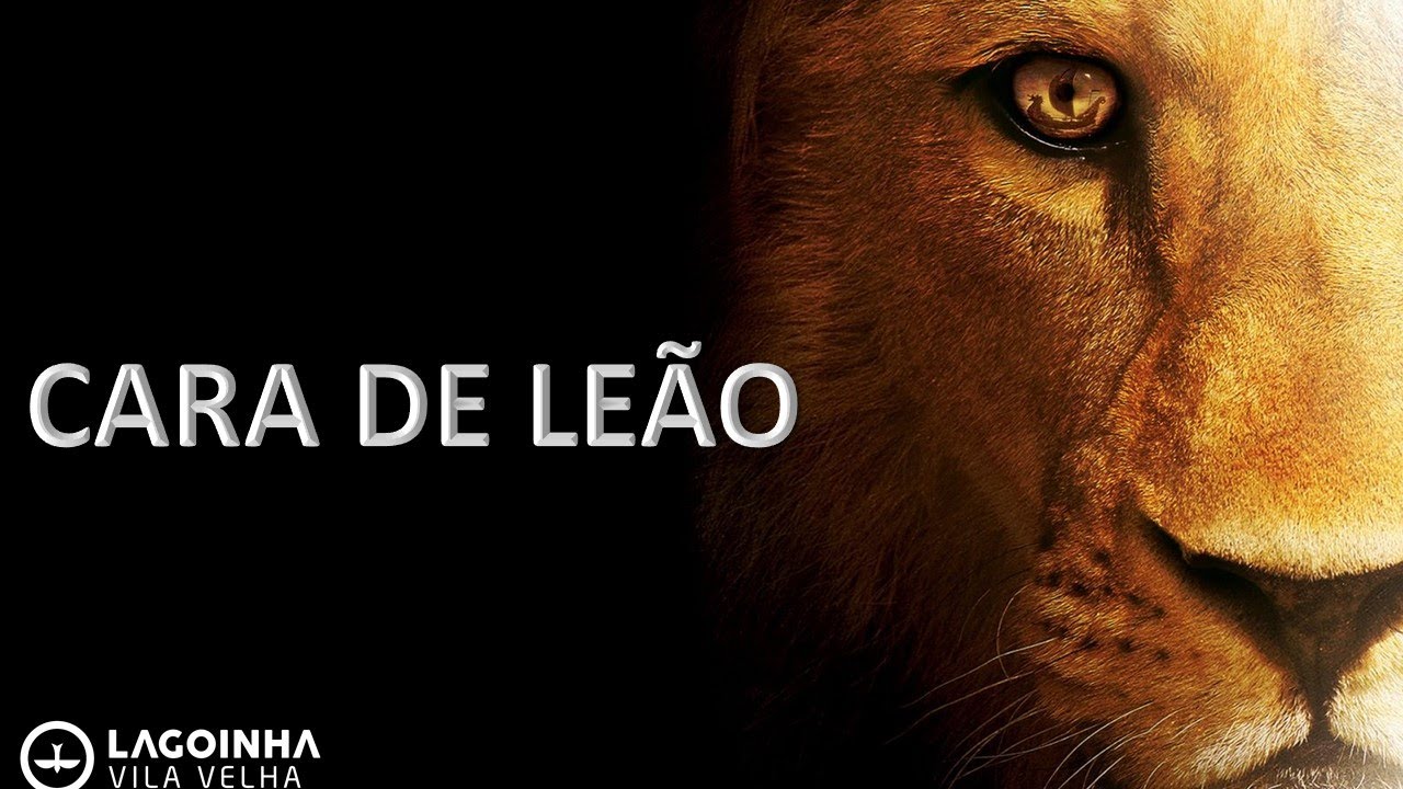 GADITAS - CARA DE LEÃO
