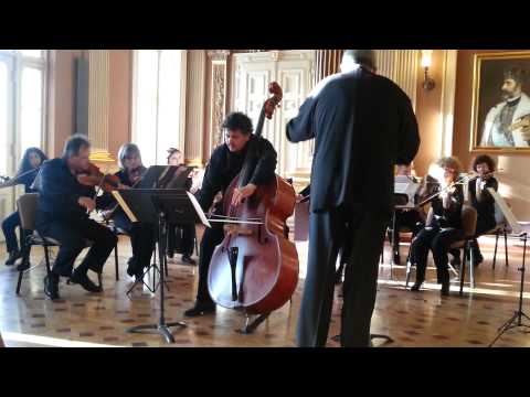 Puican Corneliu Cosmin D. Dragonetti Concerto