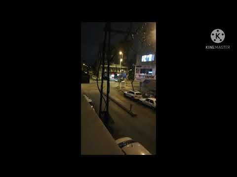 Müstezat - Kupa Kızı ve Sinek Valesi (2003)