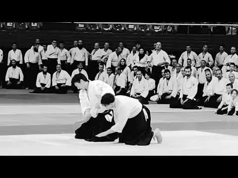 First International Summer Aïkido, Kanasawa Takeshi Shihan 7 Dan, Suzuki Toshio Shihan 6 Dan.