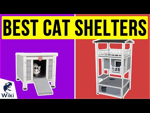 10 Best Cat Shelters 2020