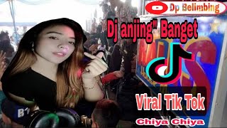 Download lagu DJ VIRAL TIK TOK 'ANJING ANJING BANGET' BERSAMA DJ RERE MONIQUE TERBARU 2021 | OT RALES KECE 2021 mp3