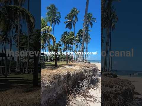 Praia dos CARNEIROS, Tamandaré-pe #Shorts #Praiadoscarneiros #portodegalinhas