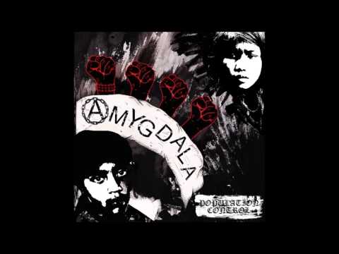 amygdala - population control