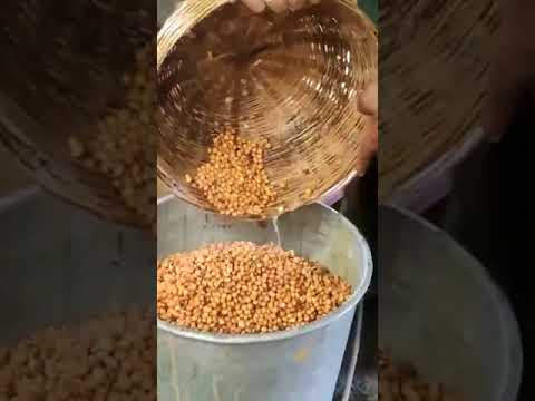 Golden 25 kg organic wheat bansi, for cooking