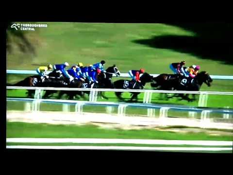 Winx wins the Apollo Stakes 2017