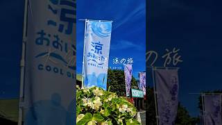 ノエル団長との大分県「涼」の旅 推し活Vlog！ #白銀ノエル #ノエルと大分どーん #vlog