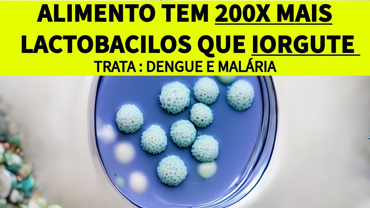 O ALIMENTO QUE TEM 200X MAIS LACTOBACILOS QUE O IOGURTE, TRATA DENGUE - MALÁRIA | Sonia Hirsch