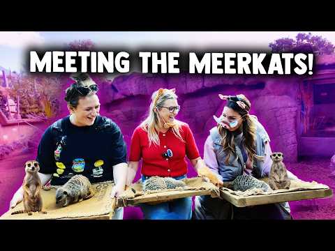 OUR TRIP TO COLCHESTER ZOO 🦁 | LuAnna Roadtrip: Stop 1