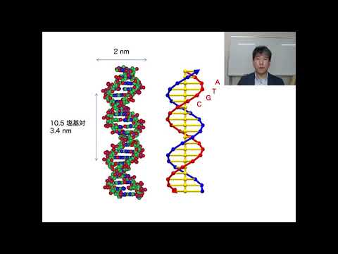 政策学科 関西大学 化学生命工学部 葛谷明紀 教授 　『DNAを素材に使う分子のものづくり』
