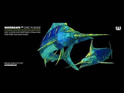 Rogue D - B2 (Watergate Records)