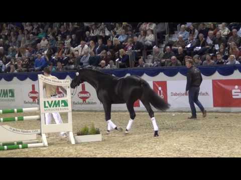 Finest Selection @ K&K CUP 2017 Hengststation Lodbergen