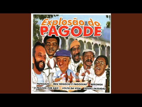 Papagaio video