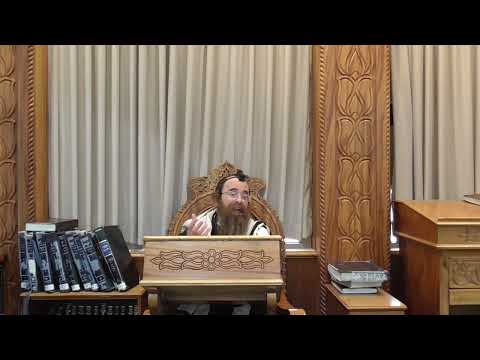 הלכה קצרה הרב בן ציון אבא שאול שליט''א  שבת שהייה בתנור  ופתיחת דלת התנור בשבת