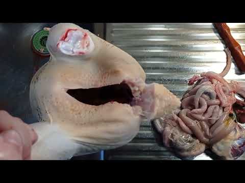 Потрошение тушки птицы, быстро и аккуратно 🐔how to gut a chicken at home