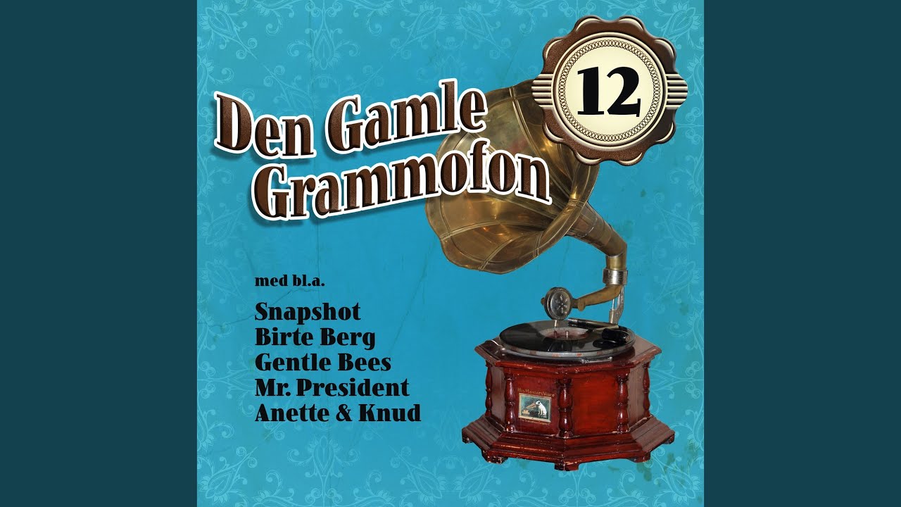 Vagn Skal Hjem til Danmark (1988)