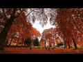 Stephan Micus - Under the Chinar Trees