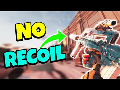 They've been LYING to you about suppressors in R6...