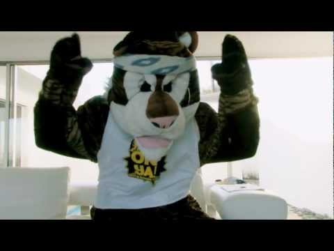 Meital's "On Ya" Video Contest