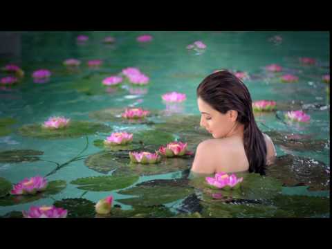 New Lux Floral Sensations