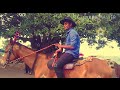 Navduva Nudeyae Kannnda Nudii Gandaagudi Song Editing By Manoj S