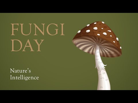 Fungi Day: Nature's Intelligence