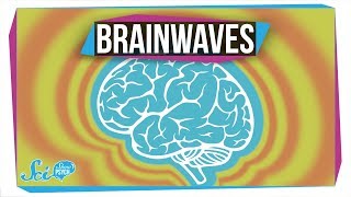 What Do Different Brainwaves Mean?