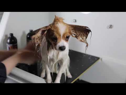 download lagu mp3 mp4 Chris Christensen Italia, download lagu Chris Christensen Italia gratis, unduh video klip Download Chris Christensen Italia Mp3 dan Mp4 Full Gratis