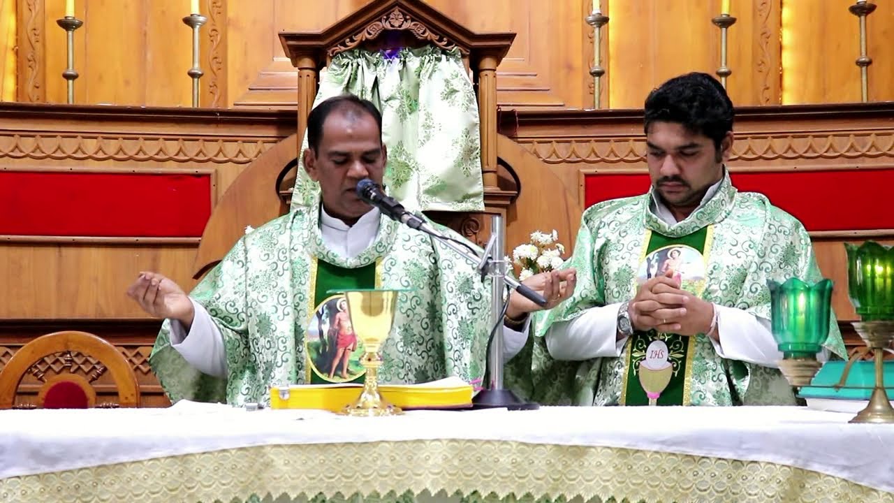 11th Sunday in Ordinary time 