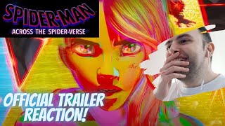 SPIDER-MAN: ACROSS THE SPIDER-VERSE - Official Trailer Reaction