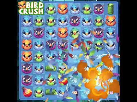Bird Crush Video