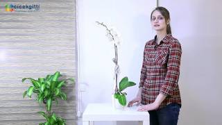 Aynı günde çiçek gönder - Cicekgitti.com
