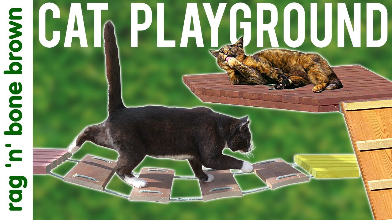 Building The CAT ADVENTURE PLAYGROUND // Catio