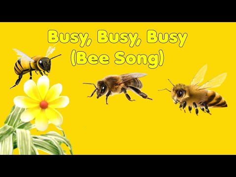 Teletubbies 25th Anniversary - Busy, Busy, Busy (Bee Song)