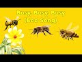 Teletubbies 25th Anniversary Busy Busy Busy Bee Song